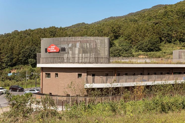 [르포]발 모두 타버린 영돌이는 미동도 없었다…보상도, 갈 곳도 없는 동물들