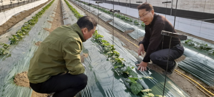 함평군 농업기술센터가 영농철 농업현장 기술지원단을 편성해 현장 지도를 실시하고 있다. 전남 함평군 제공