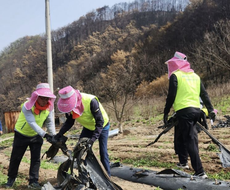 이재홍 농협은행 준법감시인과 임직원들이 화재피해농가에서 피해복구를 위한 일손을 보태며 구슬땀을 흘리고 있다. NH농협은행 제공