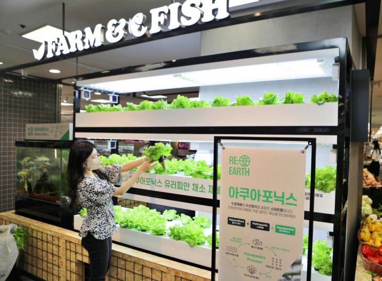 롯데마트 제타플렉스 잠실점의 아쿠아포닉스 스마트팜 매장. 롯데마트 제공