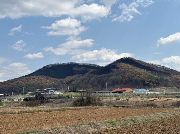[의성산불 한달]①사람이 원인되고, 바람이 키웠다