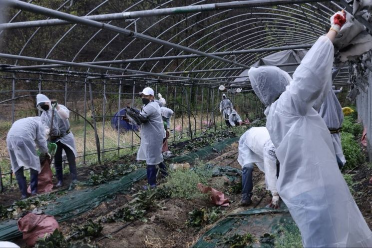 한국산업단지공단 임직원은 22일 산불 피해를 입은 의성군 지역 농작물 재배시설에 방문하여 피해 복구활동을 진행했다. 산단공 제공