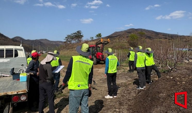의성군, 산불 피해지역 영농 회복 '총력'…고추 정식 작업 지원 나서