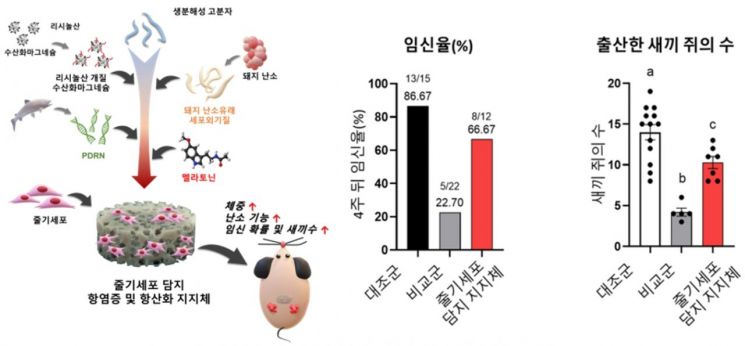 오랜드바이오 "손상된 난소 기능 회복 새 치료제 개발"