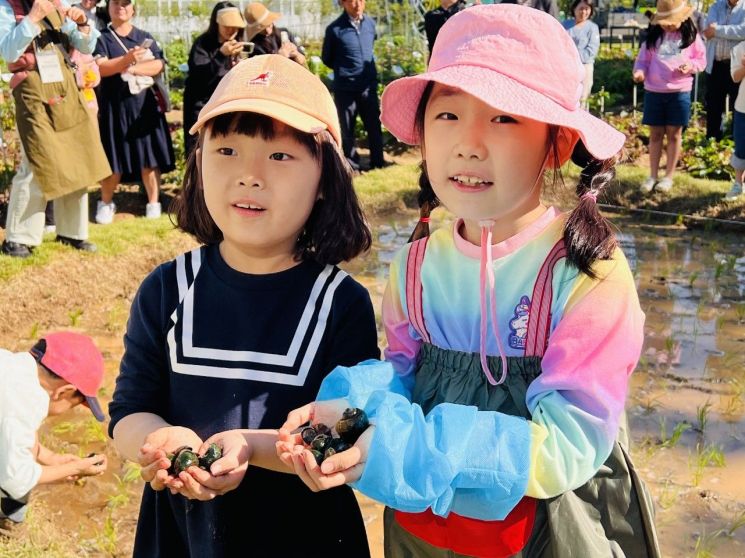 중랑구 초등학생 '전통 모내기 체험'