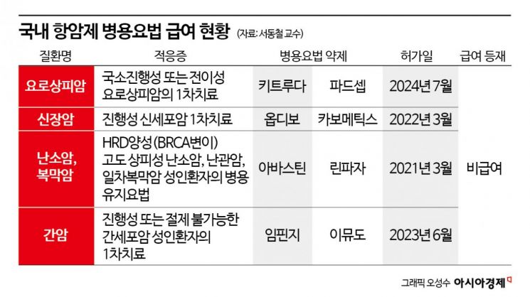 '항암제+비급여 신약' 치료 환자부담 덜었지만…다음 단계는 '신약간 병용'