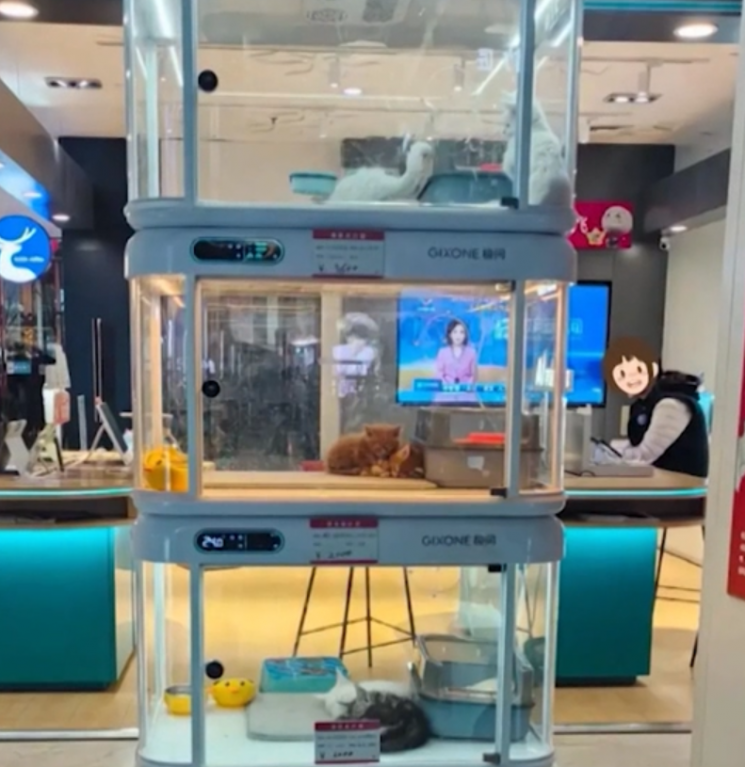 "고양이, 음료수처럼 뽑으라고?"…中 자판기서 뭘 파나 봤더니