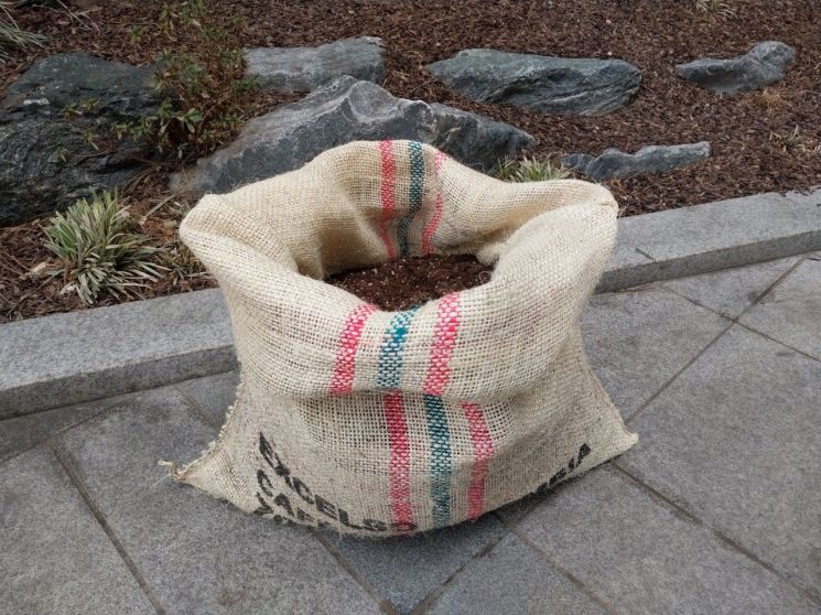 동대문구 올해 처음 '자루텃밭' 분양