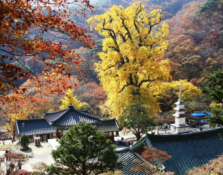 '자연·역사·감성으로 재도약' 양평군, 동부권 관광콘텐츠로 재개편 추진