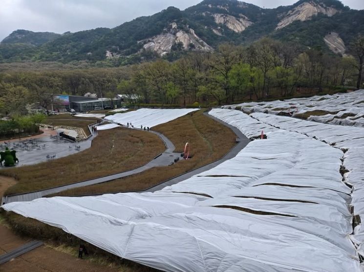 '불암산 철쭉제' 성공 오승록 노원구청장 철저한 '냉해 준비' 있었다
