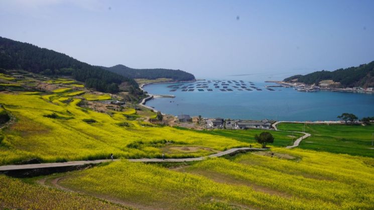 "이번 봄 '청산도 구들장 논' 보러 오세요"