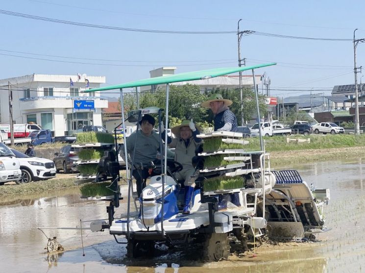장상길 부시장은 수동 조작 없이 주행되는 자율 주행 이앙기를 타고 두손을 놓은 채  시연해 보이고 있다. 포항시 제공