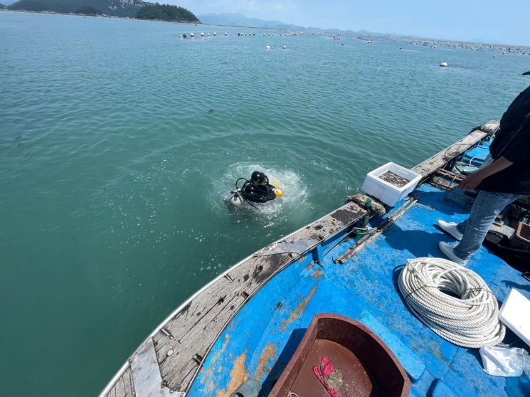 전남도, 수익성 높은 수산종자 12월까지 방류 예정