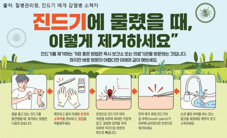 진드기 제거법 포스터. 광주보건환경연구원 제공