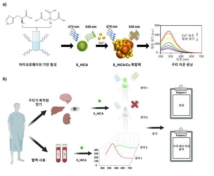 가톨릭대, '황 도핑 탄소점' 구리 이온 감지 기술 개발