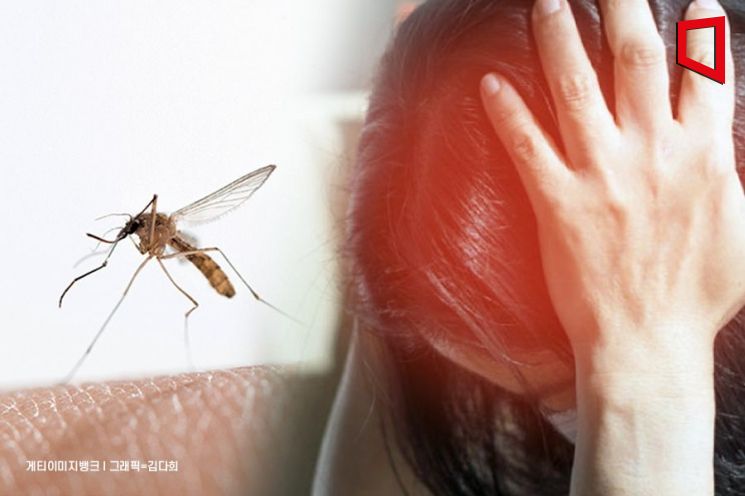 모기 물렸는데 열나고 두통까지… 4월 들어 급증한 '이 병' 정체는