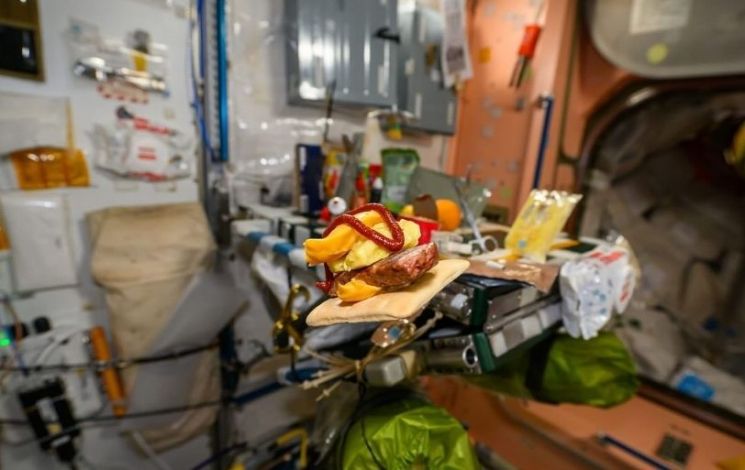 김밥·불닭이어 유행될까…엄친아 조니 김 우주에서 '100% 태양초' 고추장 버거 공개 
