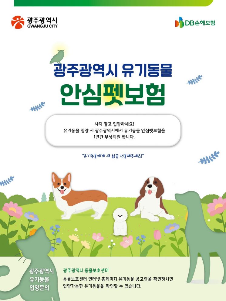 광주시, 유기동물 입양 1년간 펫보험료 지원