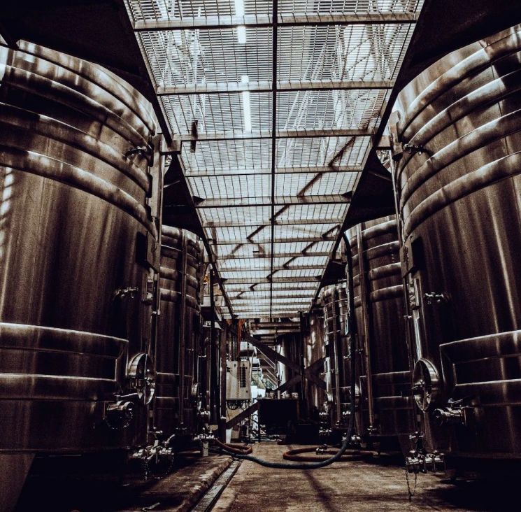 [아경와인셀라]"50년 전 샴페인이 궁금하다면?"…佛 '맞짱' 영국 자존심 