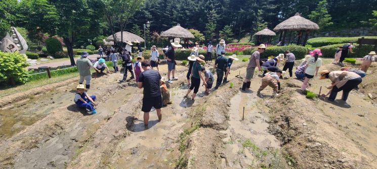 용인시 "농촌테마파크에서 모내기 체험하세요"