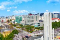 국립부경대, 올해 ‘디지털 새싹 사업’ 주관 기관 선정