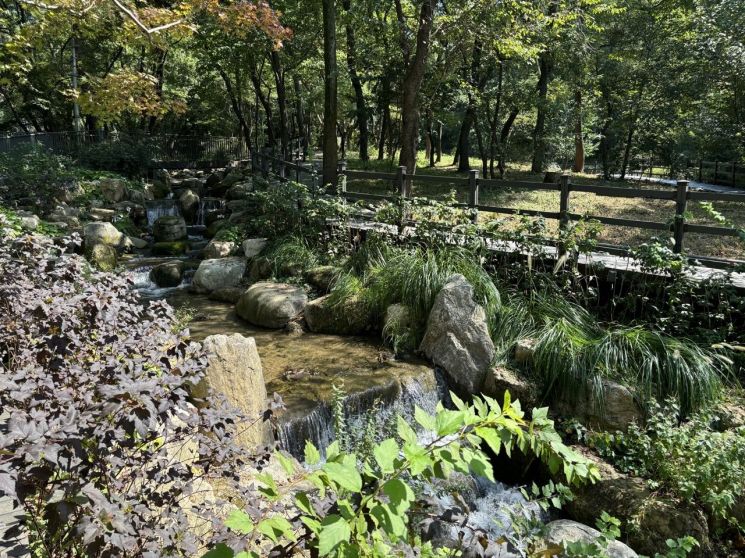  금천 시흥계곡 생태공간 재탄생...저류시설 설치·상부 공원 조성