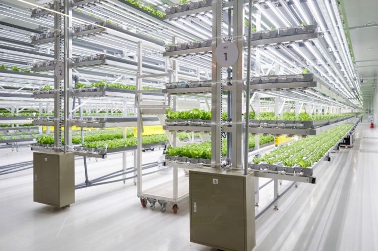 용인시, 양지면 폐 공장 기숙사에 스마트팜 조성