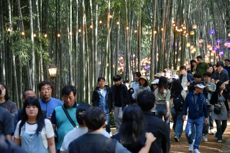 '대나무의 비상'…제24회 담양대나무축제 성료