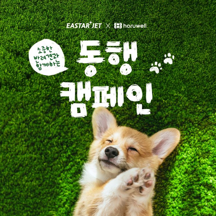 이스타항공, 하루웰과 '반려견 동행 캠페인' 진행