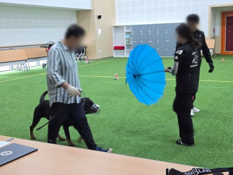"도사견·핏불테리어, 허가 없이 못 키운다"…맹견 사육허가제 시행