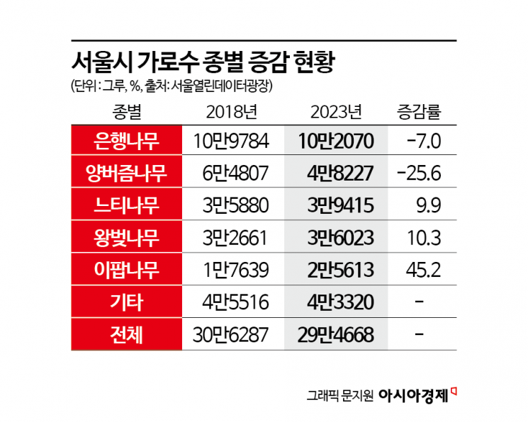 지독한 냄새 싫었는데…길가 하얗게 물들인 '이 나무'가 가로수 대세 