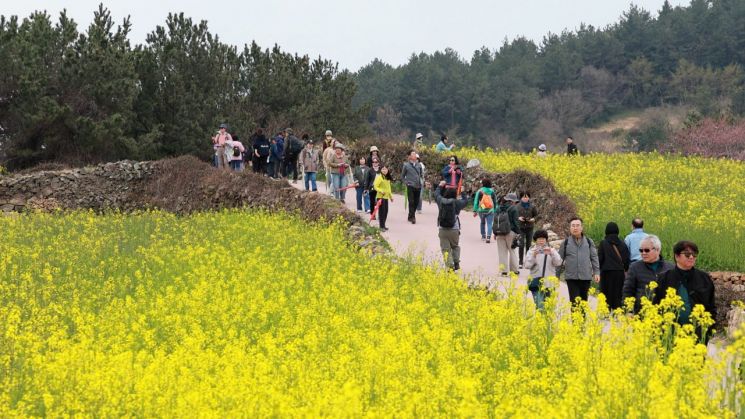 '2025 청산도 슬로걷기 축제' 성료…5만여명 방문