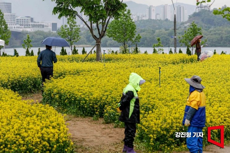 [포토] 구리 유채꽃 축제 개막