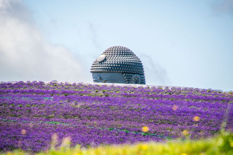 [이 책 어때]매력적인 브랜드에는 OOO가 있다