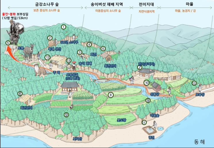 울진 금강송산지농업시스템(이미지).