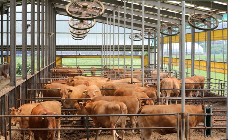 전남도, 여름철 가축 폭염피해 예방·점검 나서