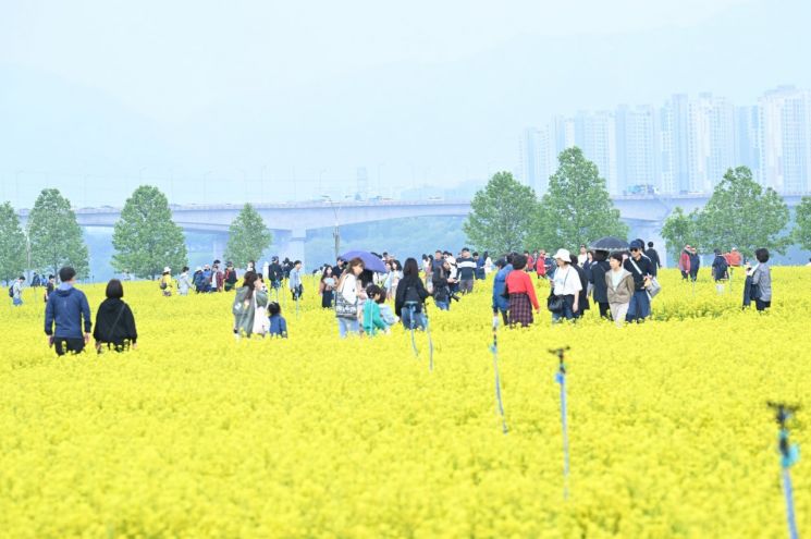 시민들이 지난 9일부터 11일까지 3일간 구리한강시민공원에서 열린 '2025 구리 유채꽃 축제'에 참가해 즐거운 시간을 보내고 있다. 구리시 제공