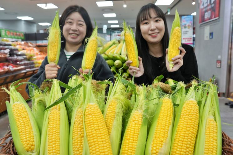 롯데마트·슈퍼, 초당옥수수 1990원에 판매…20만개 확보
