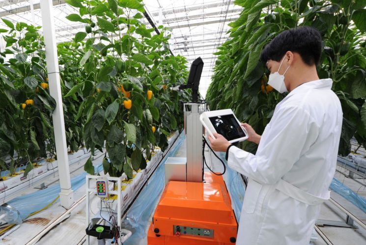 전라남도농업기술원은 최근 국가 연구개발(R&D) 공모사업에 38개 국책과제가 선정, 총 140억 원 규모의 연구비가 확보됨에 따라 인공지능을 활용한 스마트 농업 기술 개발 등 다양한 농촌기술 개발에 나선다. 전남도 제공