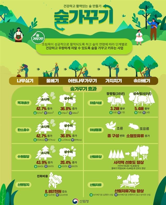 충남도 '맞춤형 숲 가꾸기' 포스터. /충남도 제공