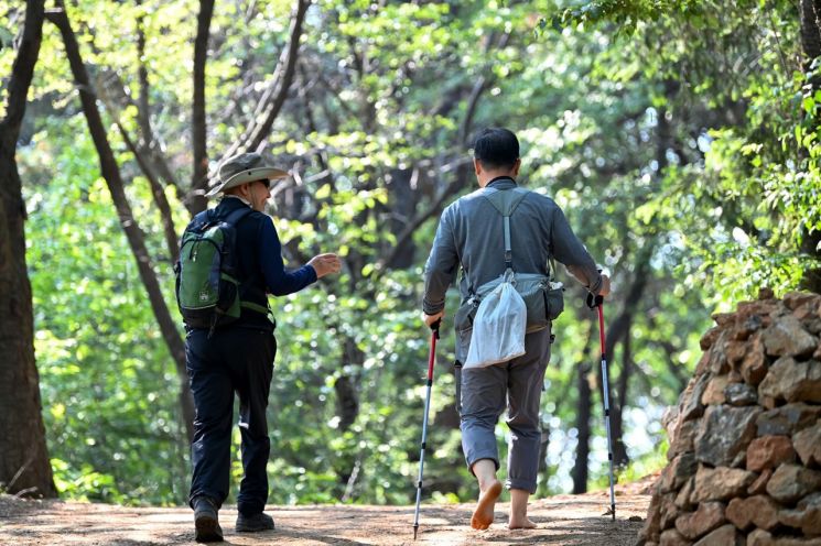 서대문구, 백련산 능선 등산로 2㎞ 구간 '맨발길'로 단장