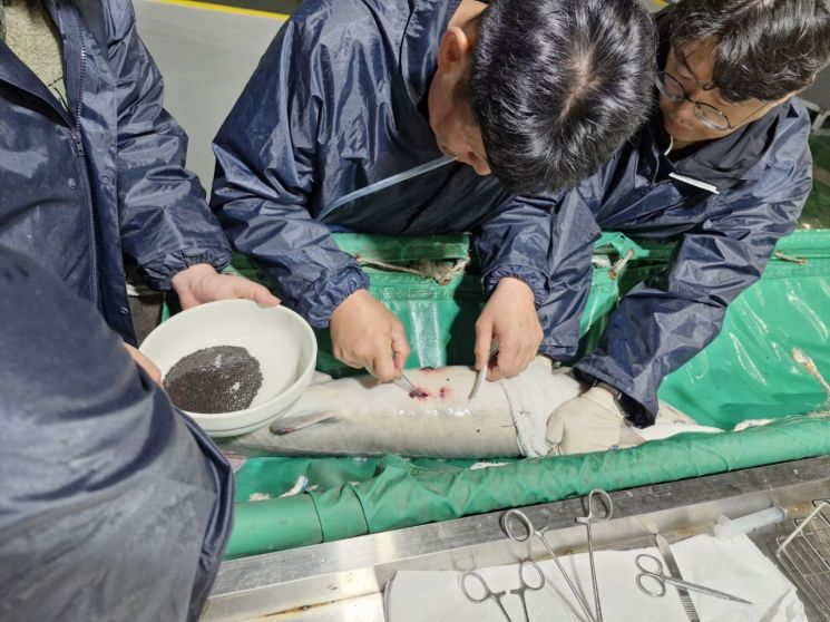 충남수산자원연구소, 철갑상어 양식 심화기술 교육 실시