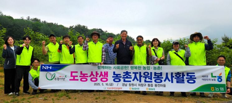 농협 경남검사국, 단감 적과 농촌일손돕기 실시