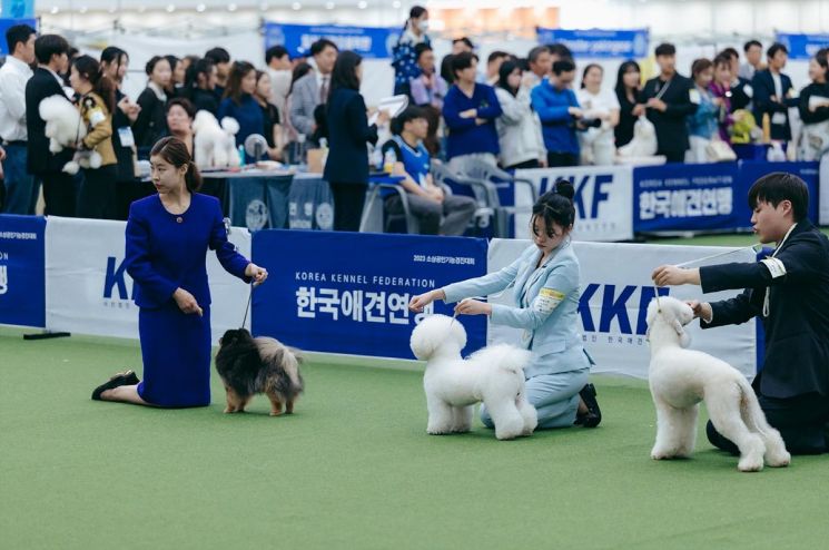 대구경북 반려동물 최대 축제 '대구펫쇼' 엑스코서 개막  