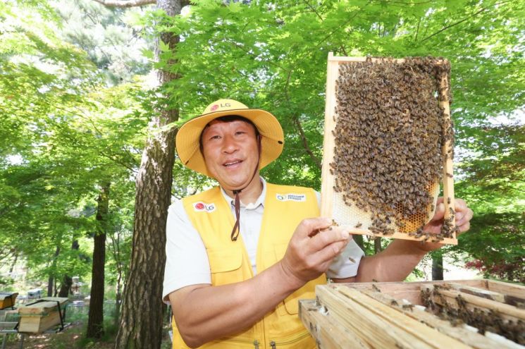 LG, 자연 생태계 살리는 ‘토종 꿀벌’ 키운다