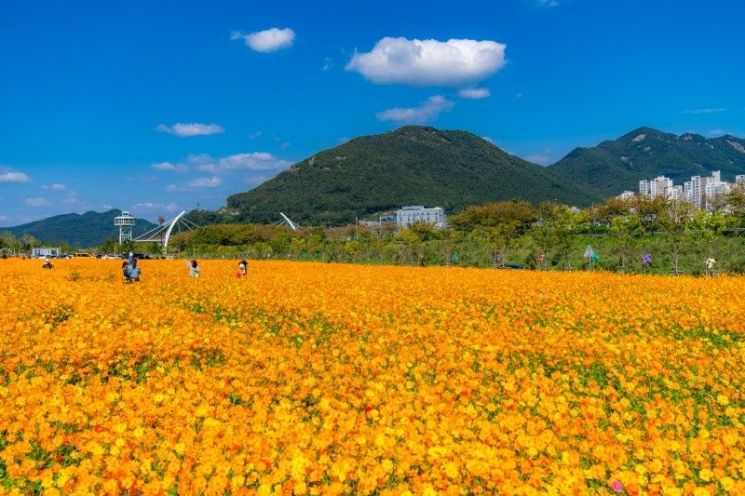 강변 산책로 야생화단지.