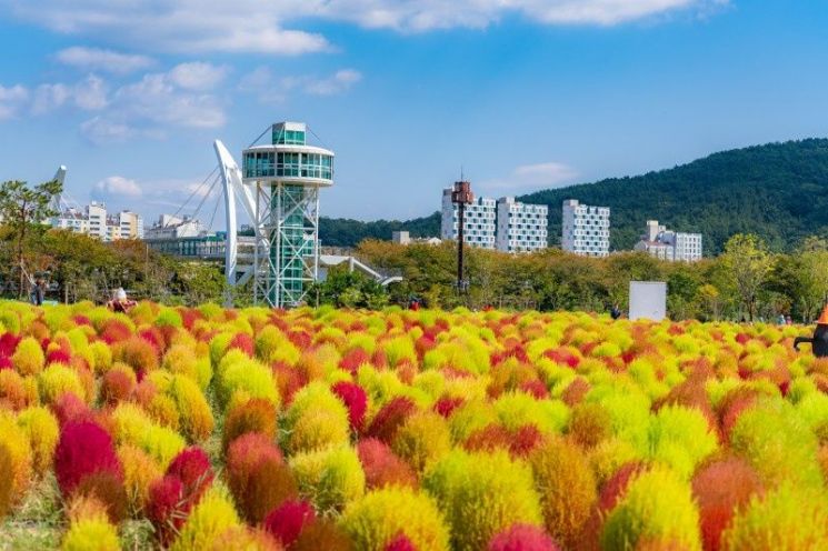 강변 산책로 야생화단지.