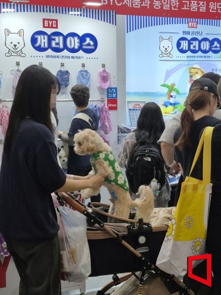 17일 일산 킨텍스 제2전시장에서 열린 국내 최대 규모의 반려동물 산업 박람회 '2025 메가주 일산'에서 관람객들이 BYC 부스를 찾아 반려견용 기능성 의류를 둘러보고 있다. 김흥순 기자