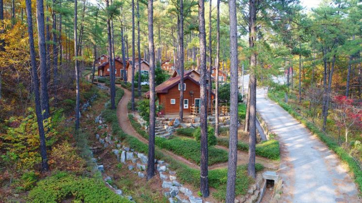 광양시, 백운산자연휴양림 광양시민 '우선 예약제'