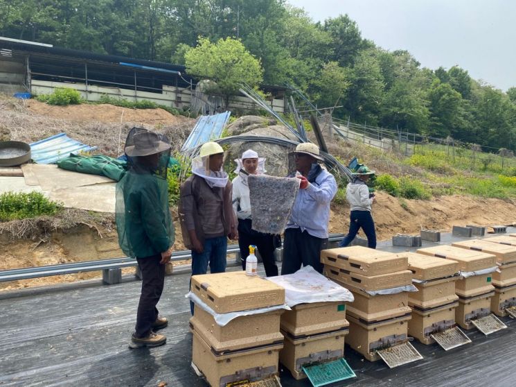 함평군, '이상기후 대응' 이동양봉 현장 기술 지원